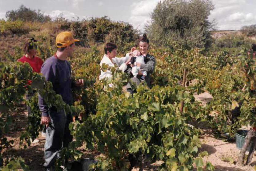 DOMAINE GILLES CANTONS HISTORY